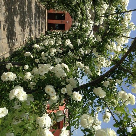 Agriturismo Casale Le Selvette Ripa Extérieur photo