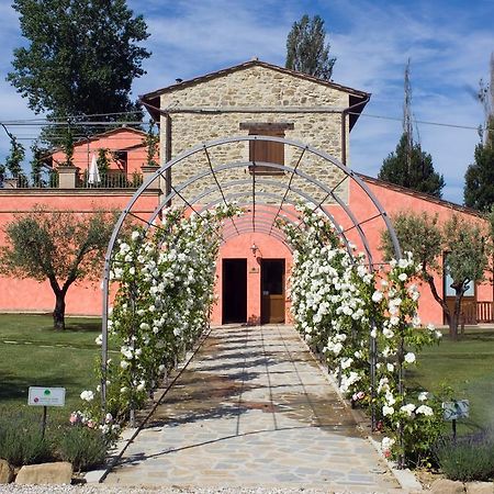 Agriturismo Casale Le Selvette Ripa Extérieur photo