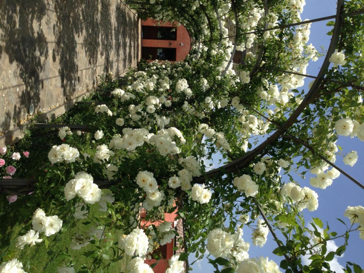 Agriturismo Casale Le Selvette Ripa Extérieur photo