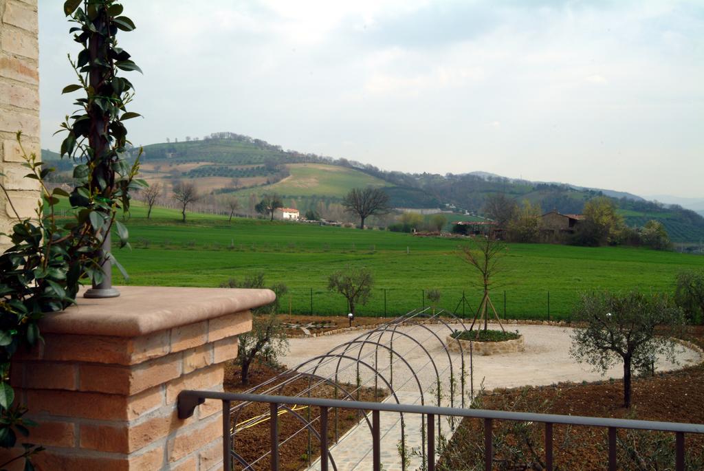 Agriturismo Casale Le Selvette Ripa Extérieur photo