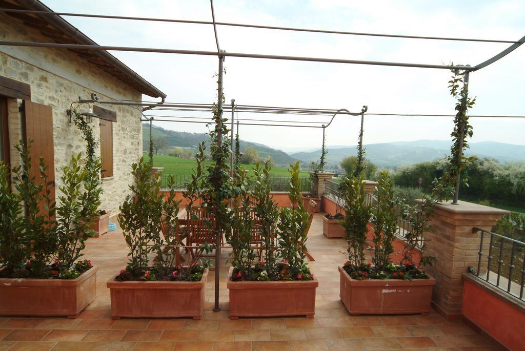 Agriturismo Casale Le Selvette Ripa Extérieur photo