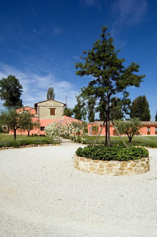 Agriturismo Casale Le Selvette Ripa Extérieur photo
