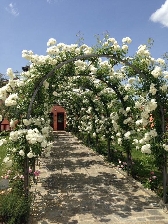Agriturismo Casale Le Selvette Ripa Extérieur photo