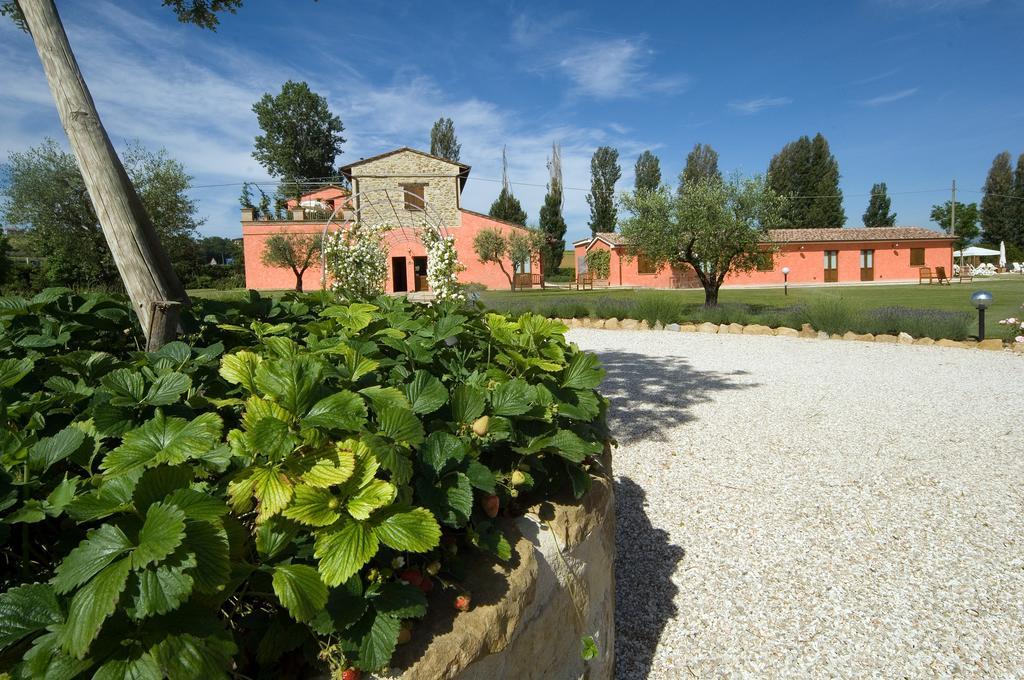 Agriturismo Casale Le Selvette Ripa Extérieur photo