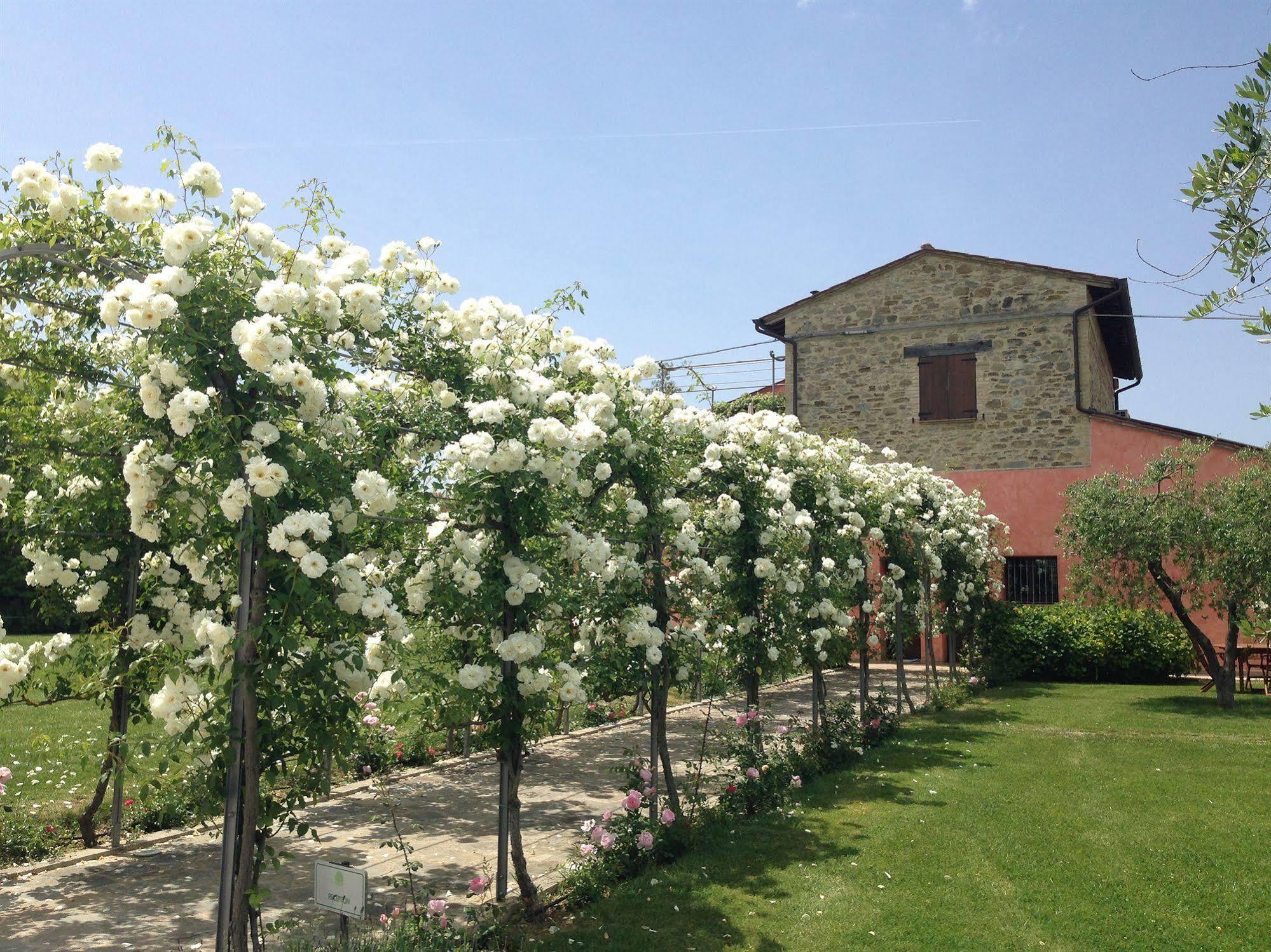 Agriturismo Casale Le Selvette Ripa Extérieur photo